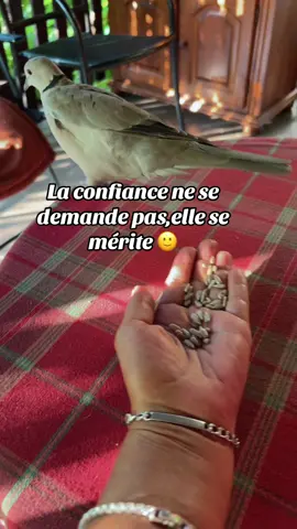 #confiance #cejour quelle est la votre définition de confiance ?
