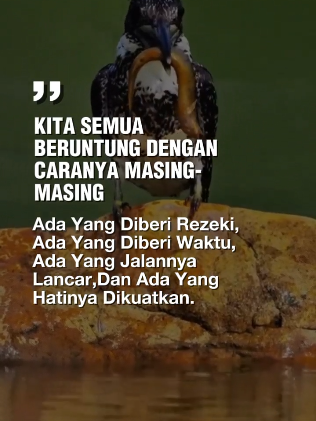 Kita semua #nasehatdiri #CapCut #bismillah #statusharian #motivasihidup 