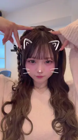 ねこがコンセプトのあいどるです ̳ᓀ ·̭ ᓂ ̳