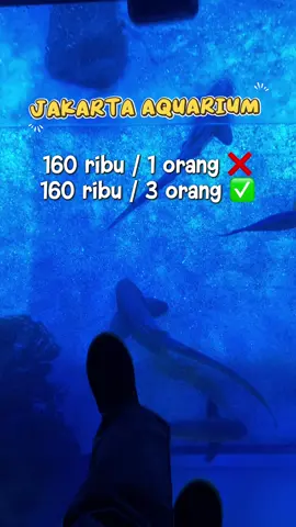Coba cek di tag lokasi dapetin harga promo nya 🥳 #jakartaaquarium #jakartaaquariumsafari #Tiktokgo #viral #fyp 