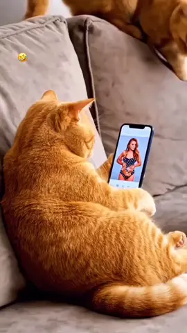 #funnyvideos #funny #Funny #comedy #joke 