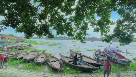 লোকেশন? #foryouuuuuuuuuuuuu #trending #varlivido #প্রকৃতির_অপূর্ব_সৌন্দর্য🥰 