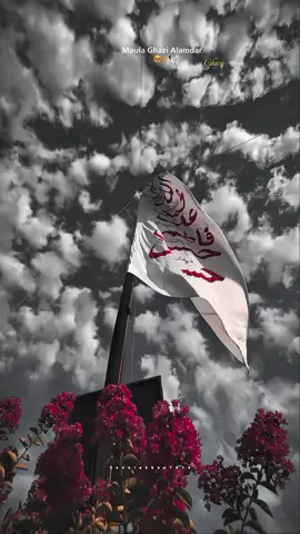 🥹❤❤‍🩹✨🙌 #mursgid#ghazi#as_moula#abbas✨