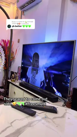 Replying to @HANG W 🐍 RATHER THAN 🐀🚫 #freelildurk #goviral #fypシ゚viral #fyp #viral @The voice 