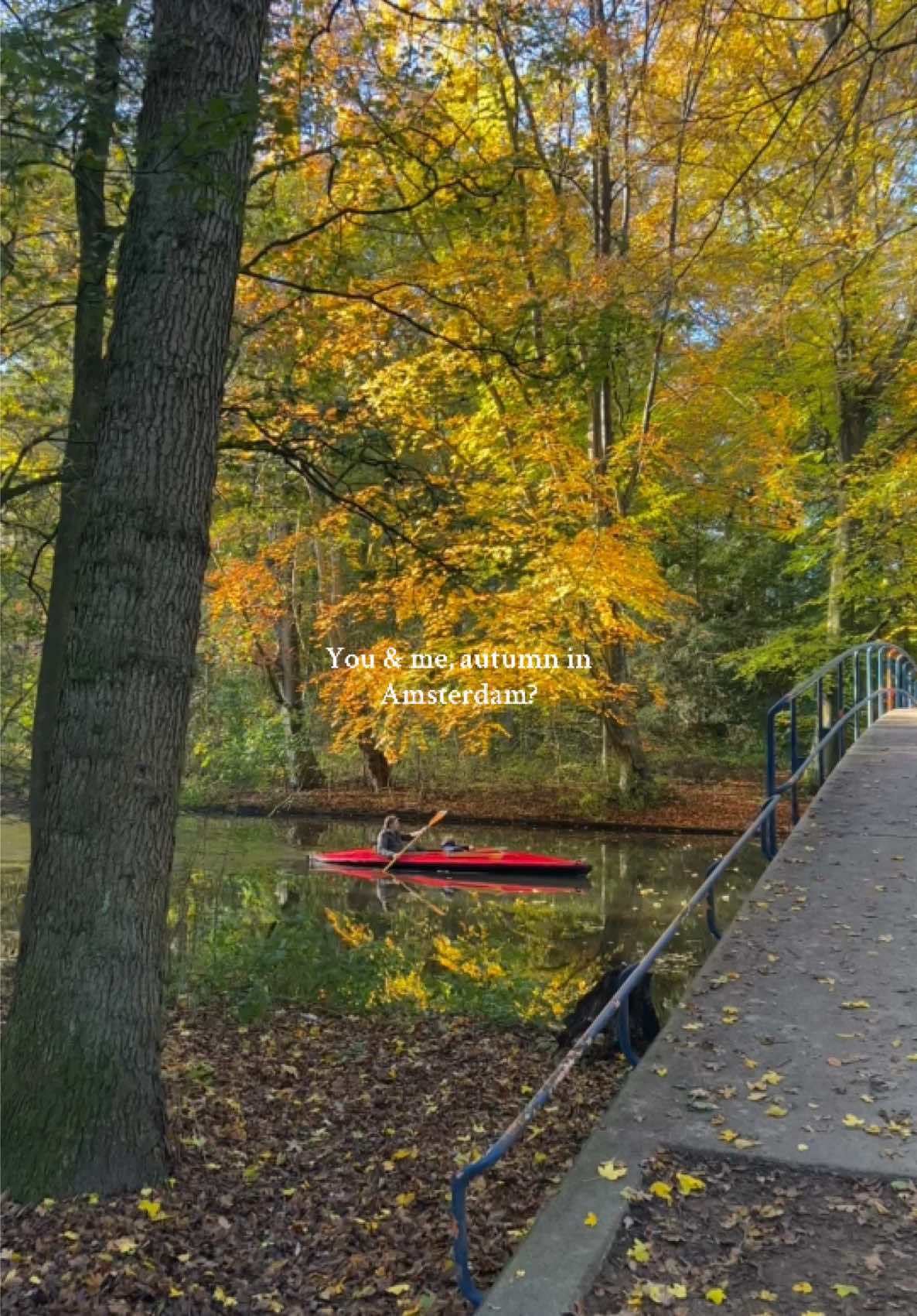 🍁🥮🍂🧸☕️