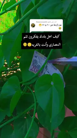 الرد على @flowrsrose04 #الحمدالله❤️ #موسم هي السنه كتير منيح#شمدريني_بس_هيج💔 