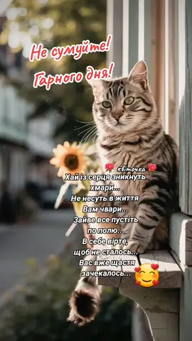 #гарногодня😊🥰🤗 