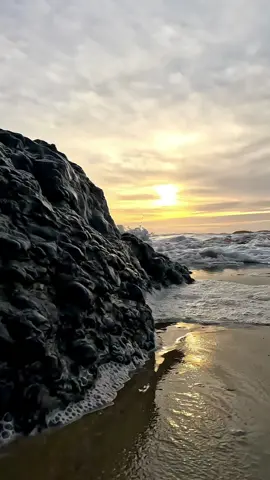 #fyp #foryoupage #الجزائر🇩🇿 