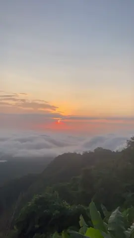☁️ buổi sáng tại núi #xuhuongtiktok #nuicam 