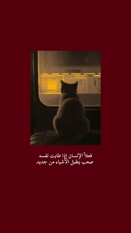 #تصميم_فيديوهات🎶🎤🎬 #عباراتكم_الفخمه📿📌 #شعراء_وذواقين_الشعر_الشعبي🎸 #تصويري_احترافي_الاجواء👌🏻🕊😴 #عبارات_جميلة_وقويه😉🖤 