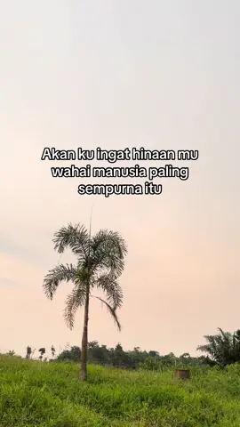 #kalimantanbarat 