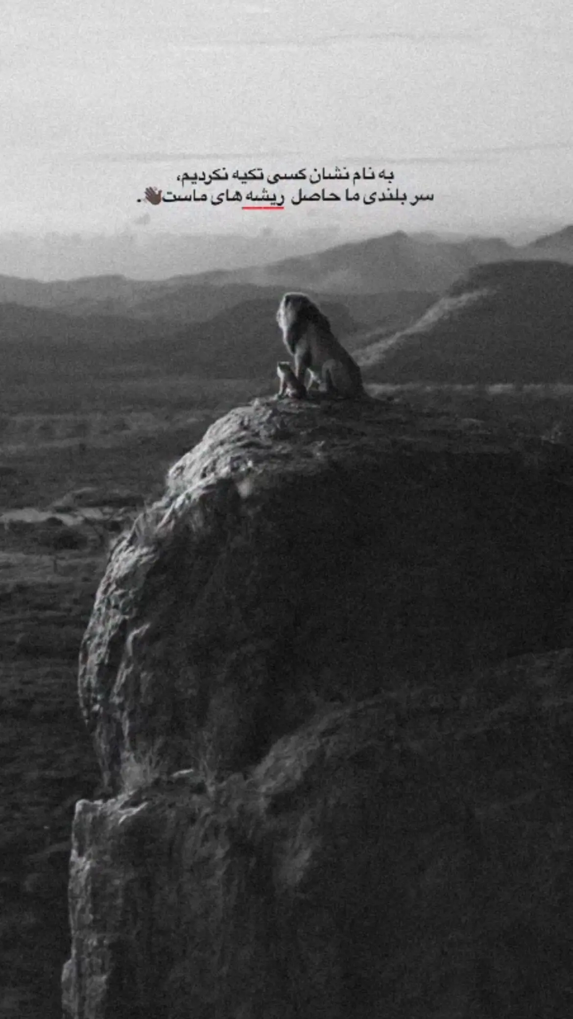 #اوزبیک_تاجیک_پشتون_هزاره_ترکمن🇦🇫🇹🇷 #ozbek #ترکیه_استانبول🇦🇫🇹🇷 