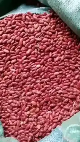 #kenyansinqatar #kenyatiktok_kenya #kenyansfarmers #kenyantiktok #kenyansinsaudia 