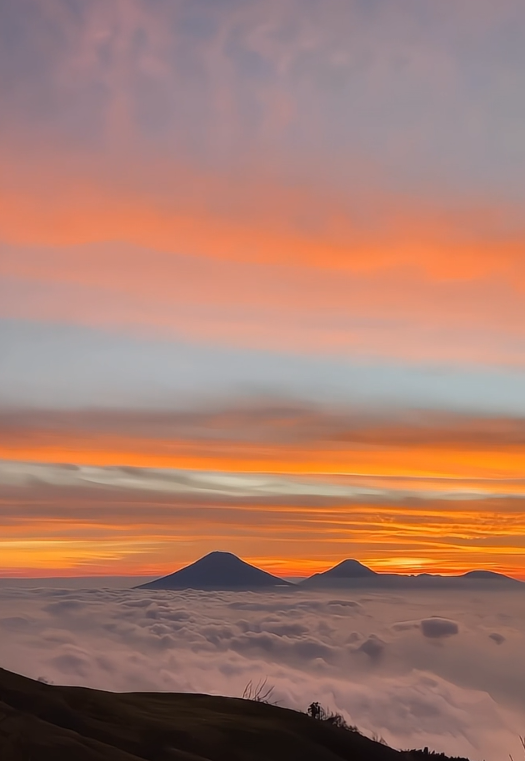 Kapan ya bisa mountain date bersamamu? 🥺 #pendakigunungindonesia #gununggede2958mdpl⛰️ #mountaindate #FYp #Trending 