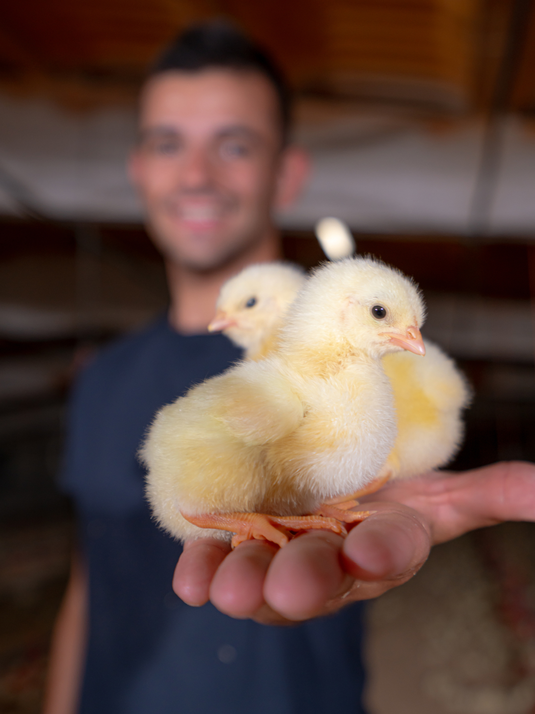 Hoy Javier y su hijo Angel nos abren las puertas de la granja de Fabara para llevarnos directos a la ganadaría. 🧑🏼‍🌾 Gracias por dedicar vuestro tiempo y esfuerzo a vuestra vocación, ¡y por hacer que todos nosotros podamos disfrutar de productos de alta calidad! 🥩❤ #bonarea #ganaderia #granja