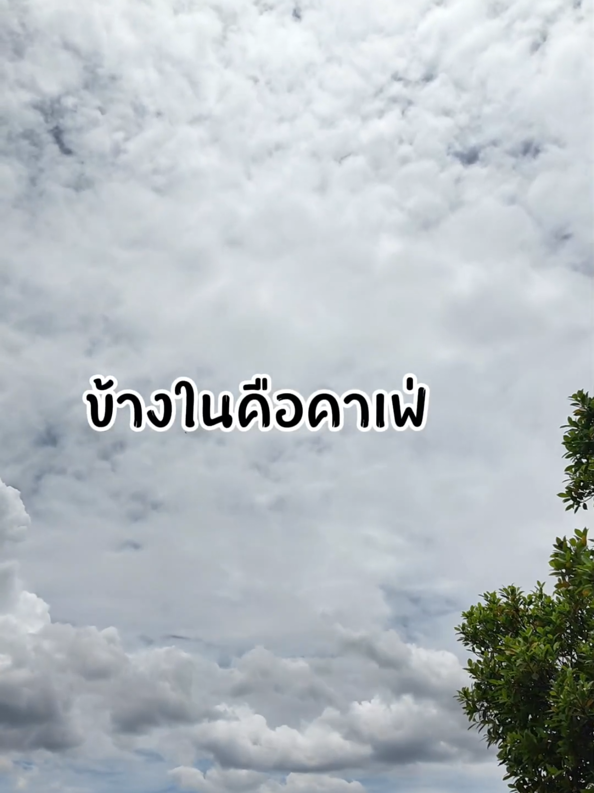 พิกัดร้านลับนครปฐม #djipocket3  #คาเฟ่นครปฐม #ร้านลับ #ห่อหมก #นึกคาเฟ่ 