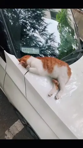 втомився 🥹