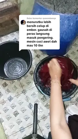 Membalas @queensbeeqamemang betul ,sebenarnya bilas pakaian itu lebih bersih manual pake ember gini, cuman kmren kmren lagi mode malas aja 😁😁 #bilaspakaian  #tipscucibaju #fyppppppppppppppppppppppp 