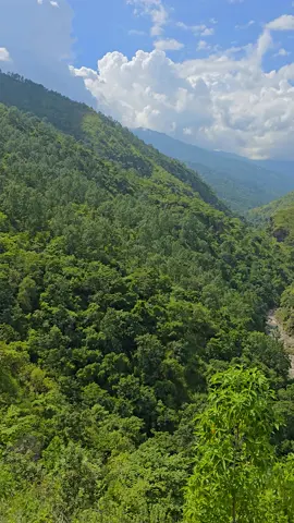 #nature #peace #greeny  #fyp #foryourpage 