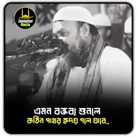 আব্দুর রাজ্জাক বিন ইউসুফ হাফিজাহুল্লাহ 😊🌸🌸🌹💝#everyonefollowers #hilightspost #everyone #reelsvideoシ #tending 