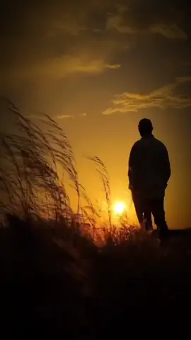 #LIVEIncentiveProgram #LIVEStory #PaidPartnership 