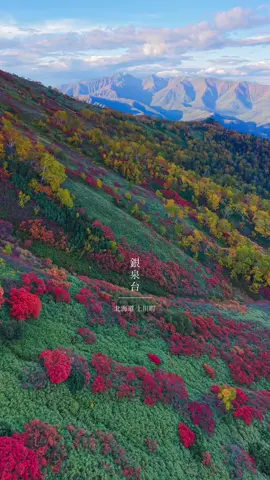 日本一早く紅葉を迎える北海道上川町の銀泉台が見頃を迎えてます🍁 銀泉台までの道中はかなりの悪路で脱輪してる車もチラホラ見かけます！ 徐行して細心の注意をはらいながら運転してください！ また、登山口から30分ほど登ると綺麗な紅葉が見られますが、スニーカーだと滑りますので、トレッキングシューズを履いた方がいいですよ！ #銀泉台#上川町#紅葉#北海道旅行#hokkaidotrip 