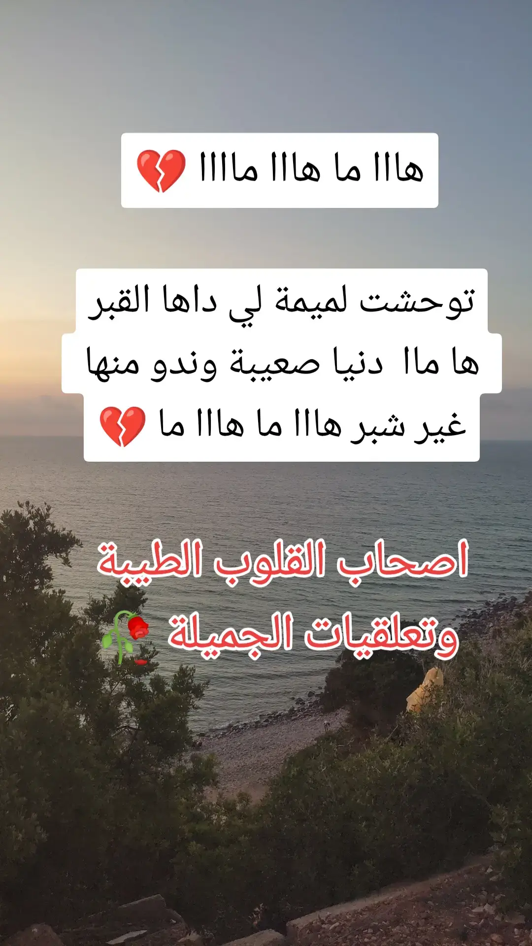 #شييي✓✓👑👑خ 