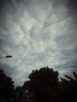 你让我为世界疯狂 我为你乱世 火烧千年彼岸花 千世轮回万世王 ...!#xh #viral #chill #fyt #nhacnaychillphet 