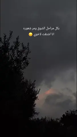 #يارب قر عيوني بشوفته وليفي🥺 اخي 😴💔