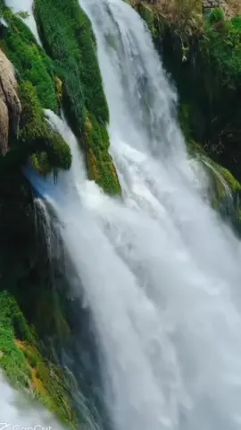 #سبحان_الله_وبحمده 