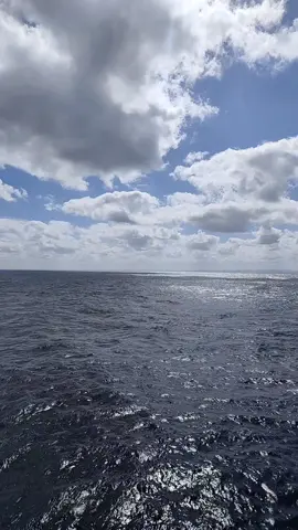 #بكره_يا_حبيبي  . #احمد_عامر #مجرد________ذووووووق🎶🎵💞 #fy #متابعه 