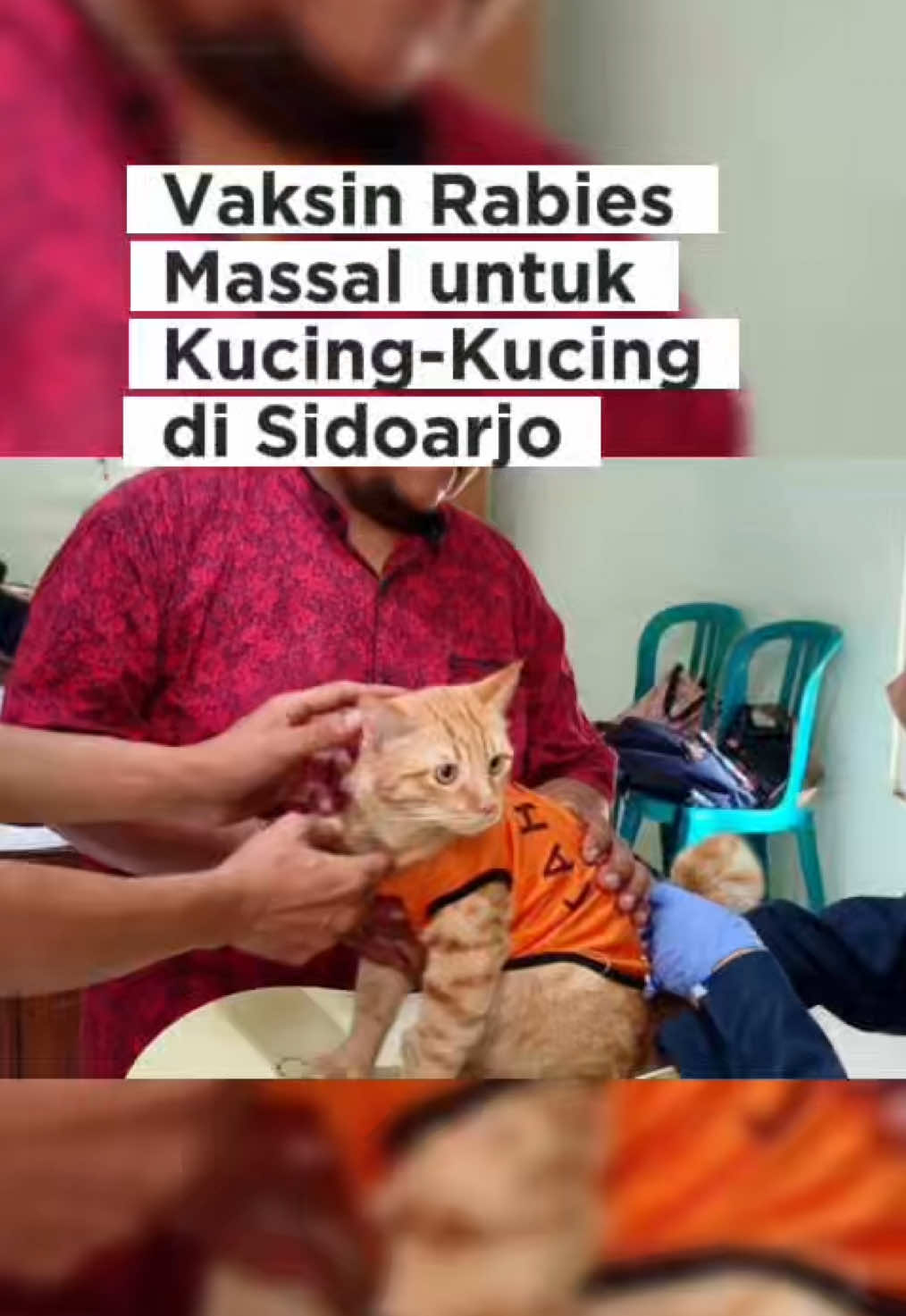 Warga Sidoarjo menyambut kegiatan vaksinasi rabies massal untuk hewan peliharaan 