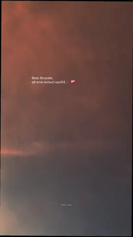 මතක තියාගන්න, අපි තරහ කාරයෝ නෙවෙයි...!   ❤️‍🩹#sinhalaquotes #foryou #trending #foryourpage #videography 