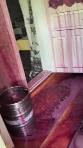 Ce hu*nea am facut 😂.                            #Vin#moldova #real 