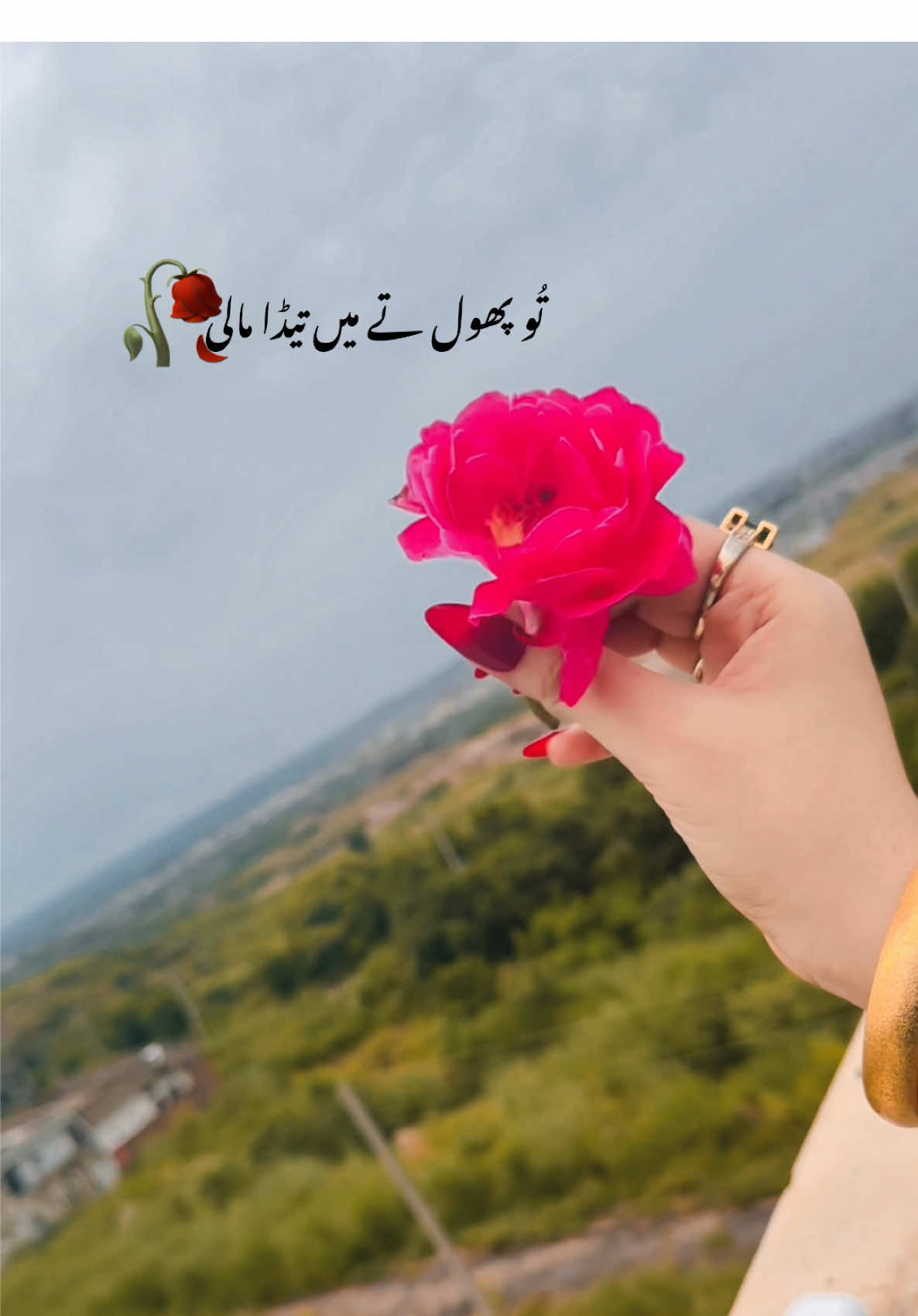 Chalry Chalry waal🥀🖤 #CapCut #saraikisong #سرائیکی_وسیب #foryou #phool 