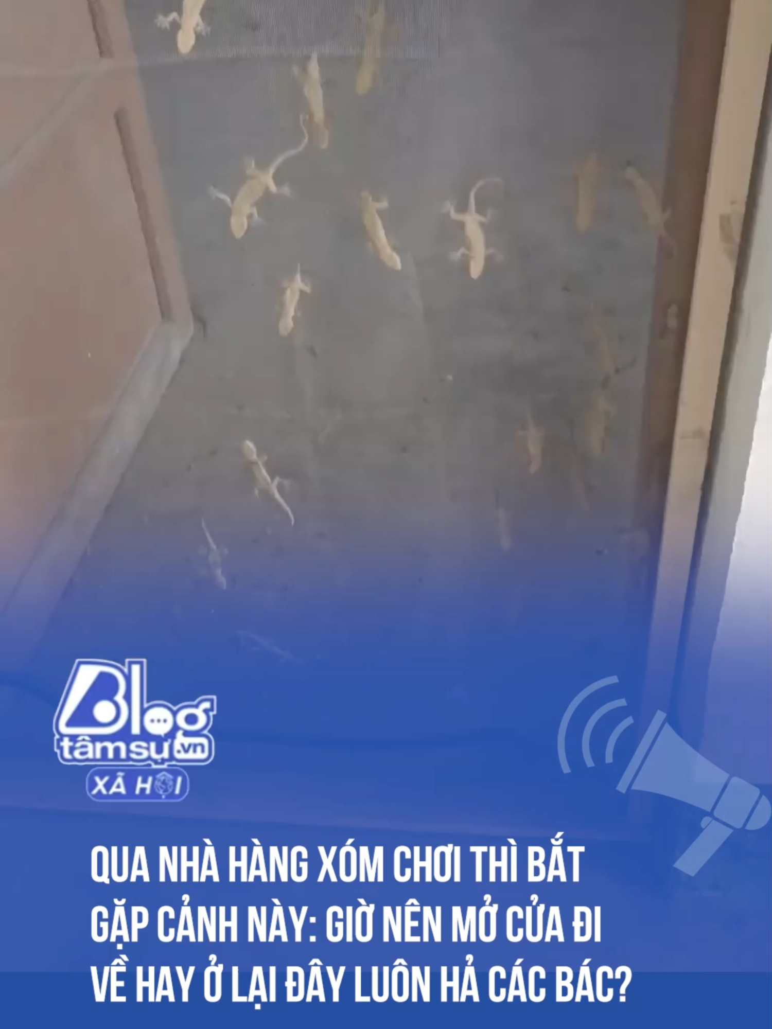 Giờ nên mở cửa đi về hay ở lại đây luôn hả các bác? Cre: phungcoi20001  #btsmedia #socialnews #trendingviralvideo #khoanhkhaccuocsong🥰 #news #social #baihoccuocsong #funny #funnyvideos #chuyenla #chuyenlacothat