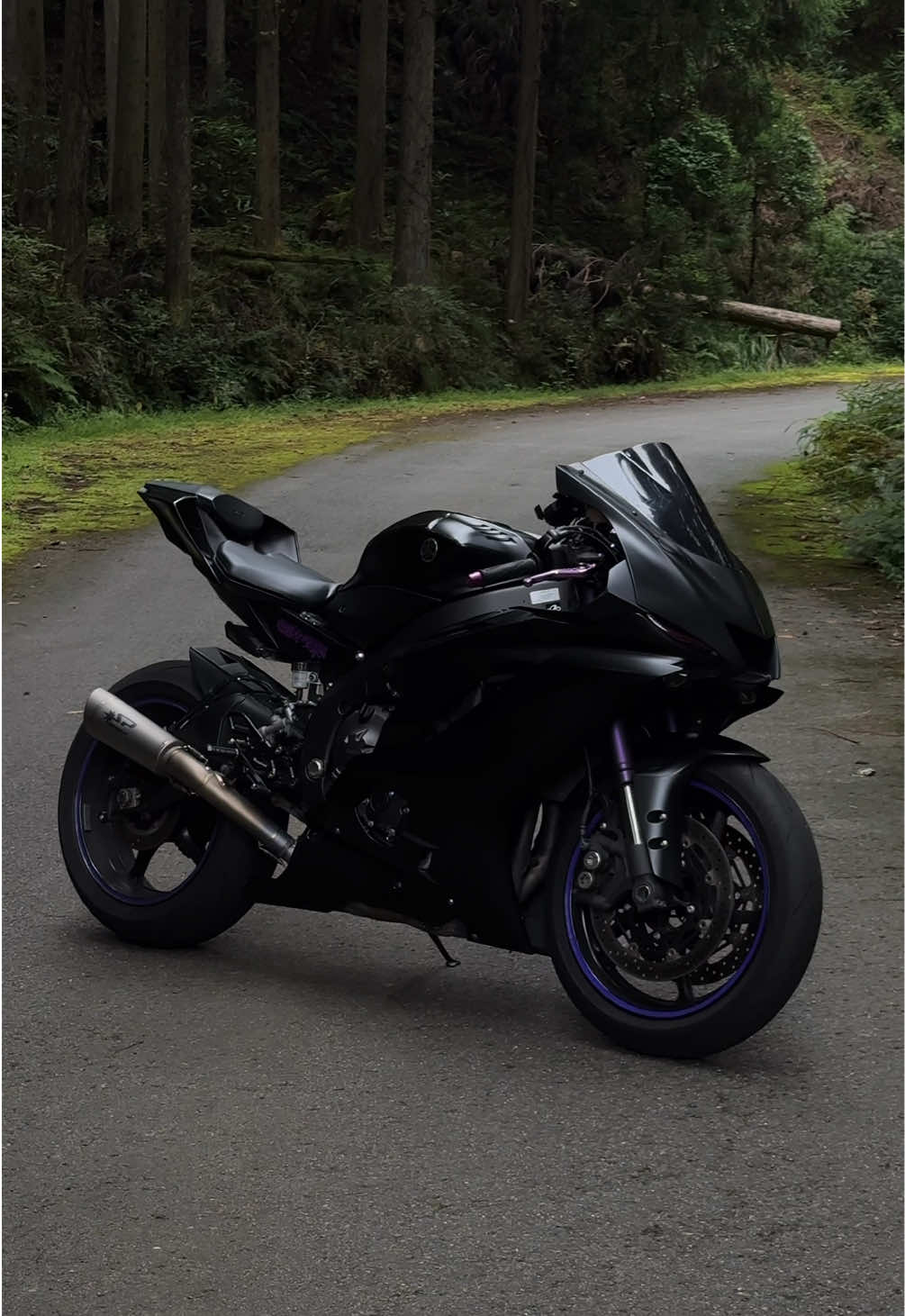 Yamaha R6 #yamaha #yamahar6 #r6 #motorcycle #fyp 