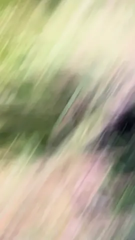 #letdown #sunset #fyppppppppppppppppppppppp #goldenhour 