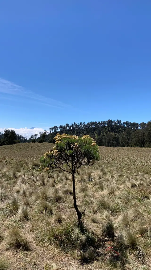 #fyp #mountain #buthak_2868_mpdl #f #fy 