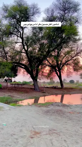 شامیں اکثر حسین مگر اداس ہوتی ہیں #punjab #peace #villagelife 