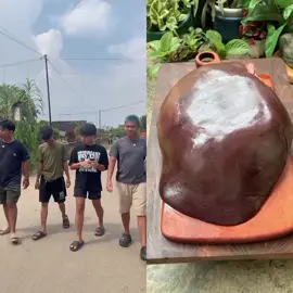 #omped #omped_visual #tipetipeomped #lucu #ngakak #komedilucu #omped #ceritakita 