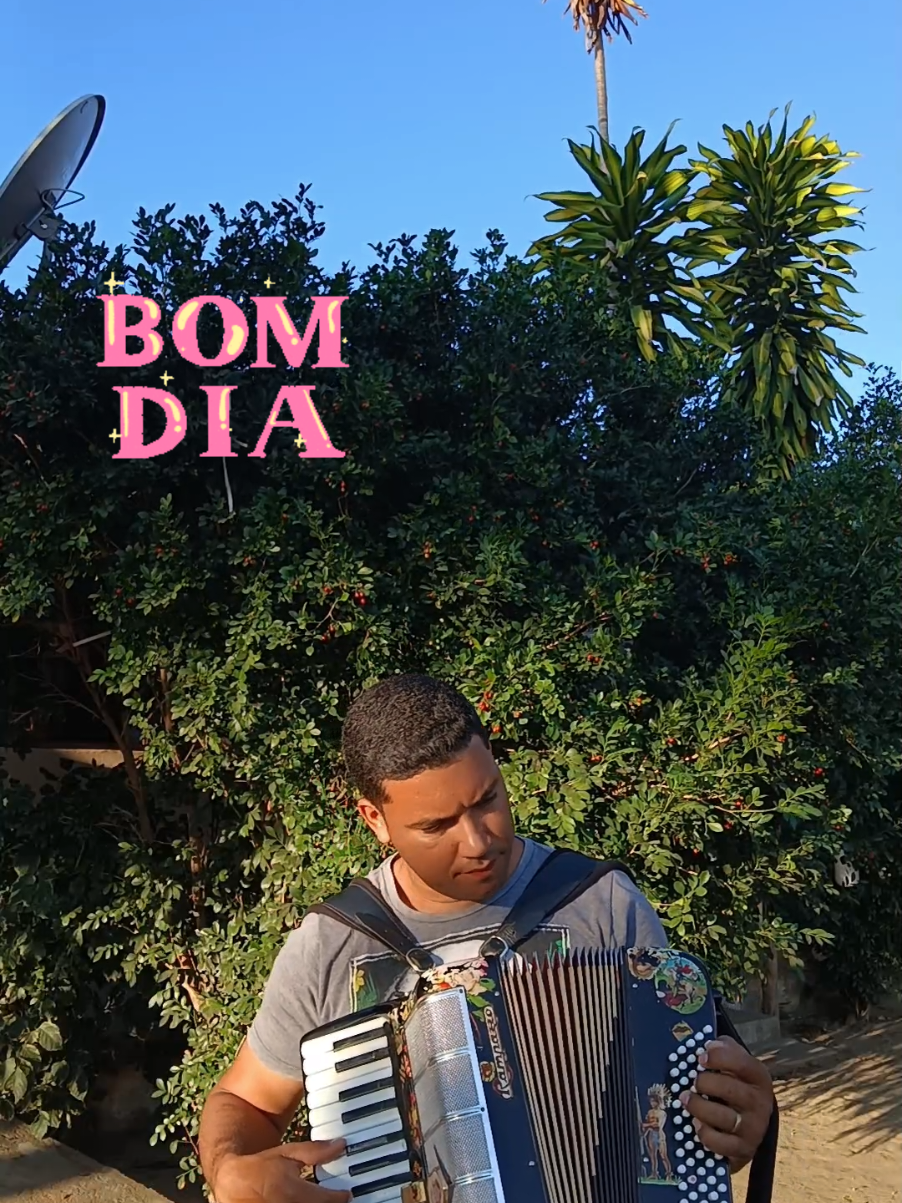 #bomdia #acordeon #musica #dublagem #sanfona 