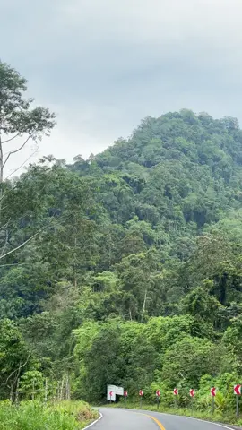 T’bolok South Cotabato T’boli 🍃@Prince 🤍 #fyppppppppppppppppppppppp #nature #nmaxv2 #roadtrip #southcotabato 