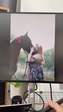 avant/après 🌿 #cheval #frison #photographeequin 