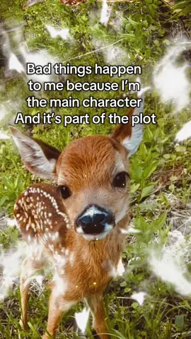 Real shit man  #hopecore #deer #spirituality #relatable #crashout 