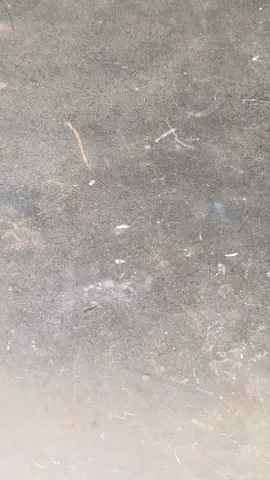 Homemade diy tools #tools #DIY #ideas #homemadediytools #weldingtools #fypシ゚ #seniorwelder #senirwelderyt 