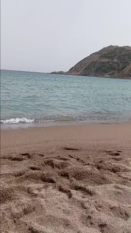 #الجزائر_algeria  أعتز بنفسي لأنني  استوعبتُ الحياة جيداً ، لأنني فهمت متى عليَّ الإنسحاب ،و متى أستطيع أن أقول 