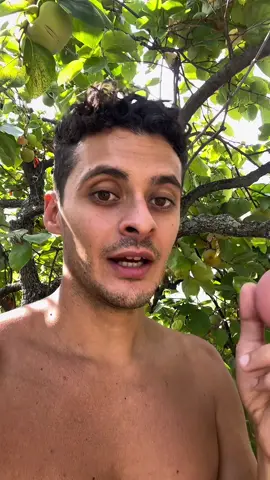 Tutoria frutta non potata  #agricoltura #natura 