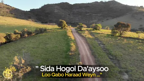 Magool & axmed mooge | aan Heshiino | hees bilaa music ah #foryourpage #qaraami #heesbilaamusic #somalitiktok 