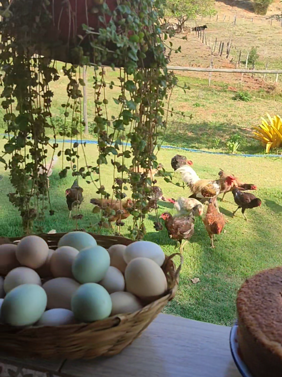 Obrigado senhor por me permitir viver mais esse dia 🙏 Que Deus abençoe seu dia 🙏#adriramos #deusabencoe #cafe #roca 